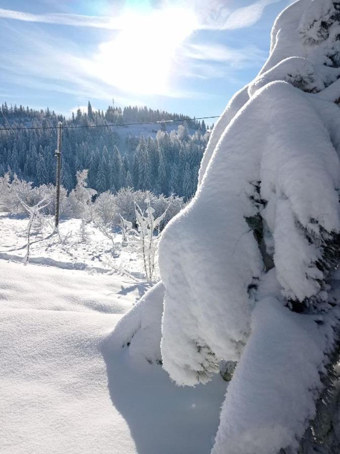 Ecottage Котедж Для Двох У Горах Із Чаном-Джакузі Slavske Exterior foto