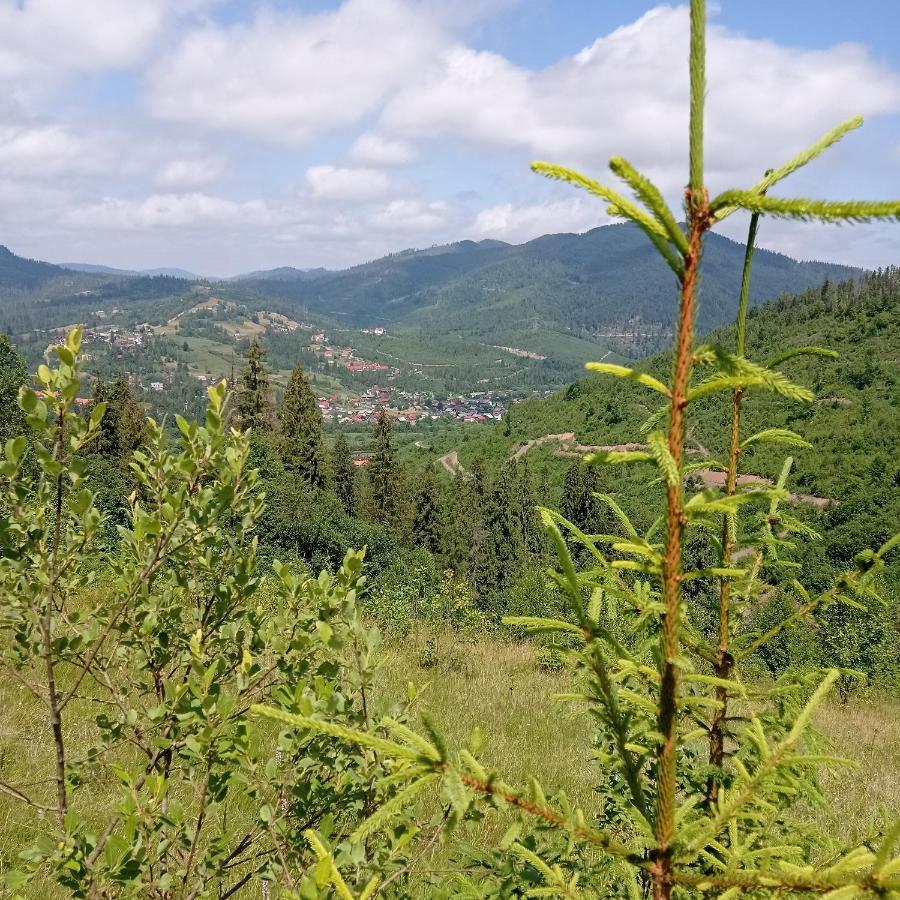 Ecottage Котедж Для Двох У Горах Із Чаном-Джакузі Slavske Exterior foto